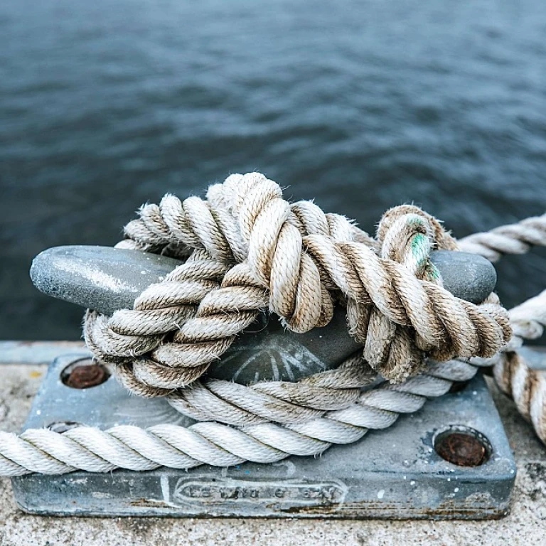 Comprendre le droit international du commerce