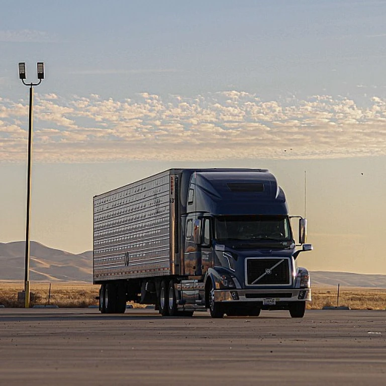 Optimiser la distribution dans le commerce international